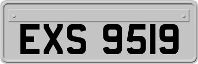 EXS9519