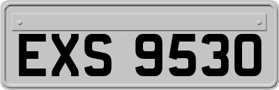 EXS9530