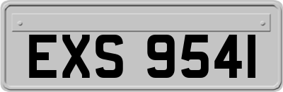 EXS9541