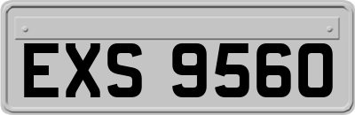 EXS9560