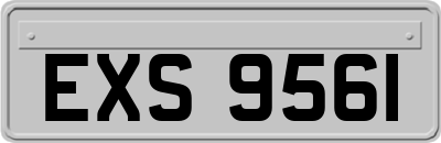 EXS9561