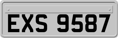 EXS9587