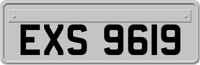 EXS9619