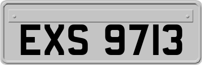 EXS9713