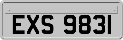 EXS9831