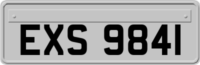 EXS9841
