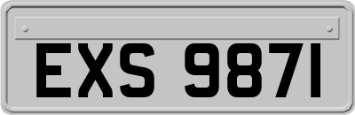 EXS9871