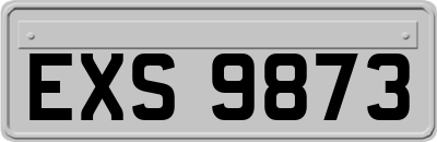 EXS9873