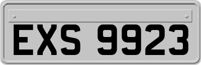 EXS9923