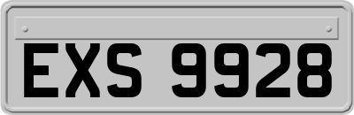 EXS9928
