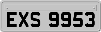 EXS9953