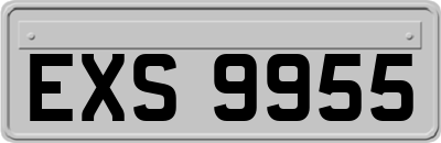 EXS9955