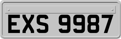 EXS9987