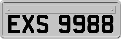 EXS9988