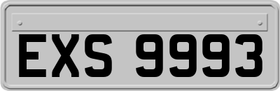 EXS9993