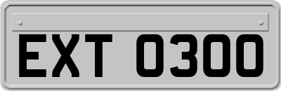 EXT0300