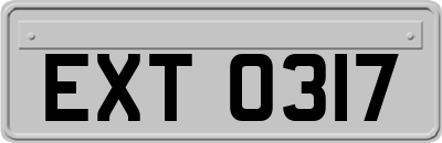 EXT0317