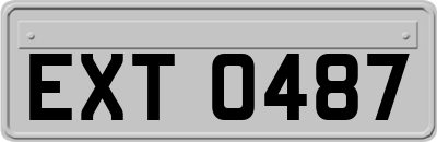 EXT0487