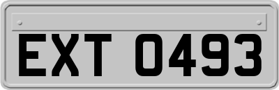 EXT0493