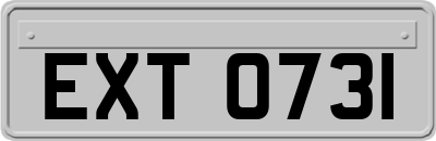 EXT0731