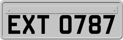 EXT0787