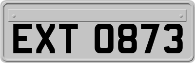 EXT0873