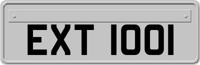 EXT1001