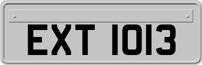 EXT1013