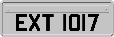 EXT1017