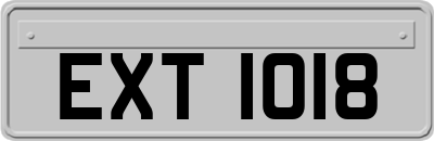 EXT1018