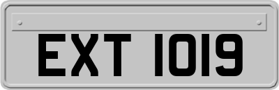 EXT1019
