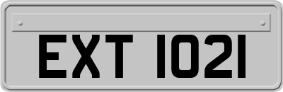 EXT1021