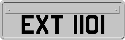 EXT1101