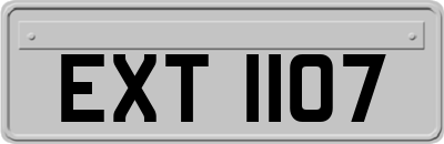 EXT1107