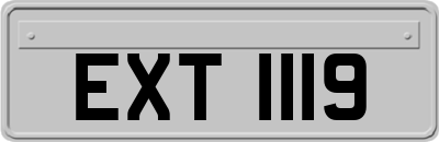 EXT1119