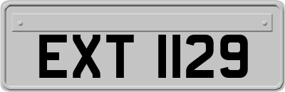EXT1129
