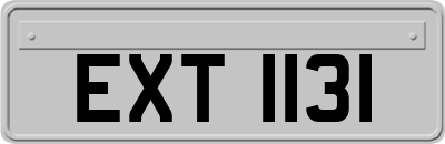 EXT1131