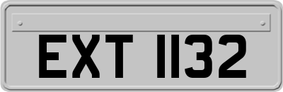 EXT1132