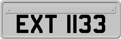 EXT1133