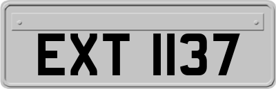 EXT1137