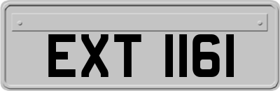 EXT1161