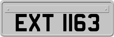 EXT1163