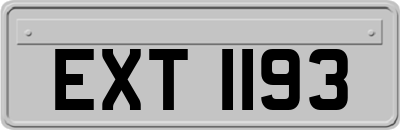 EXT1193