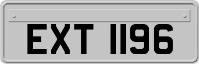 EXT1196