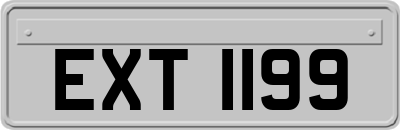EXT1199