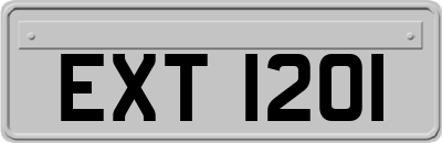 EXT1201