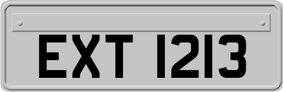 EXT1213