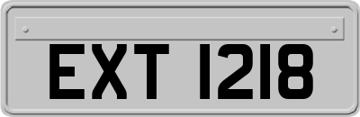 EXT1218
