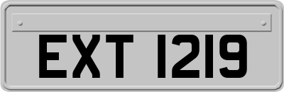 EXT1219