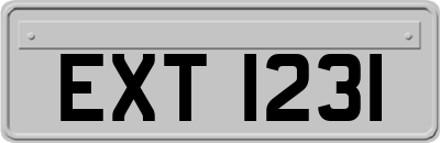 EXT1231